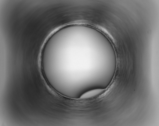 X0000094931421200711290952