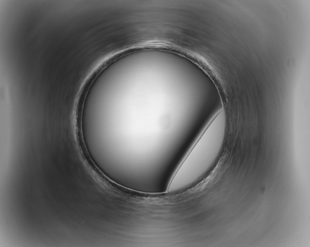 X0000094931422200711290952