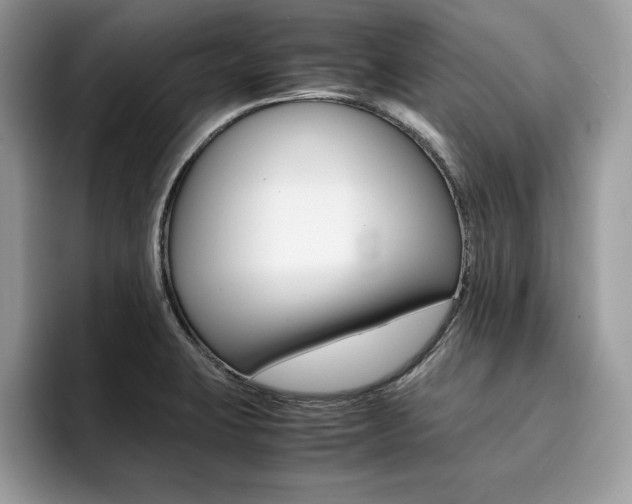 X0000094931423200711290952
