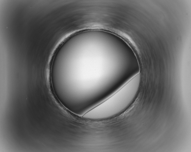 X0000094931424200711290952