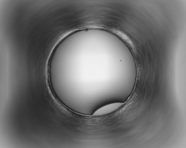 X0000094931431200711290952