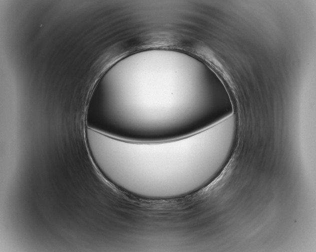 X0000094931433200711290952
