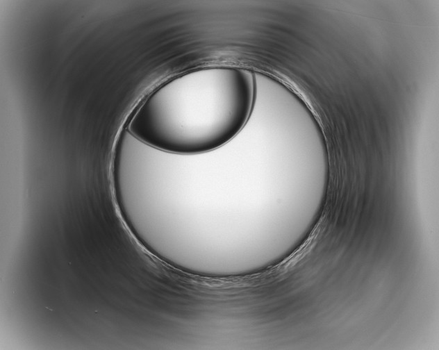 X0000094931434200711290952