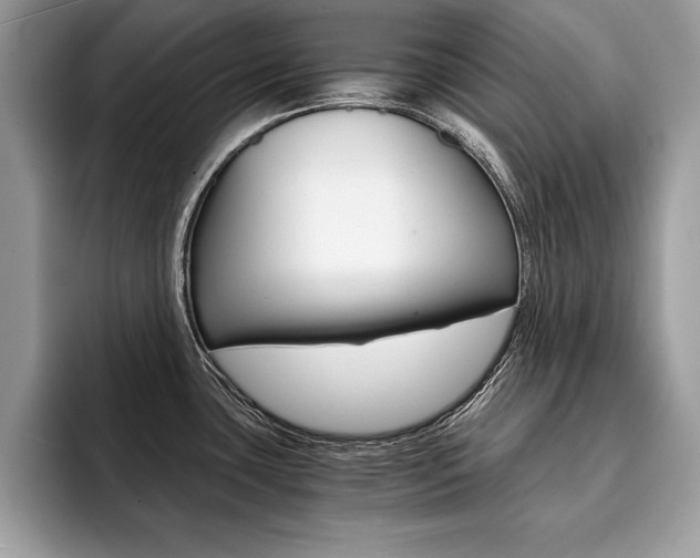 X0000094931435200711290952
