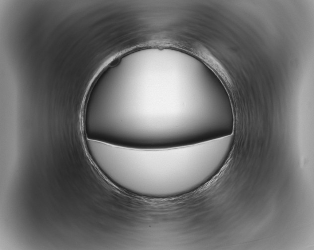 X0000094931436200711290952