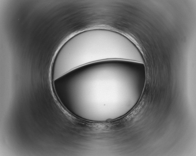 X0000094931438200711290952
