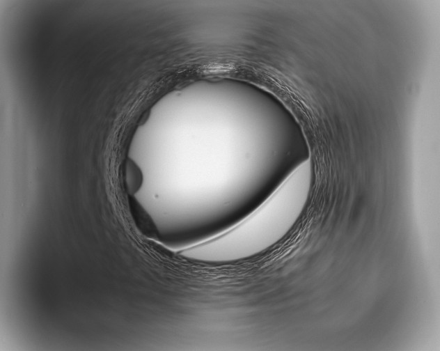 X0000094931441200711290951