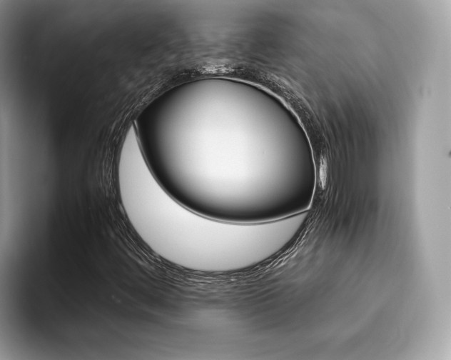 X0000094931444200711290951