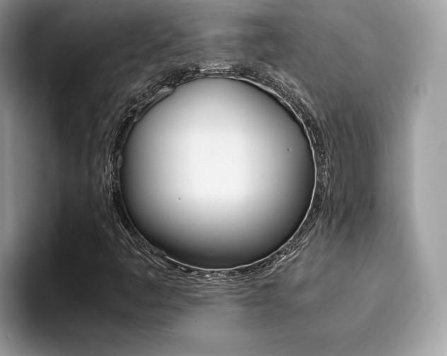 X0000094931445200711290951