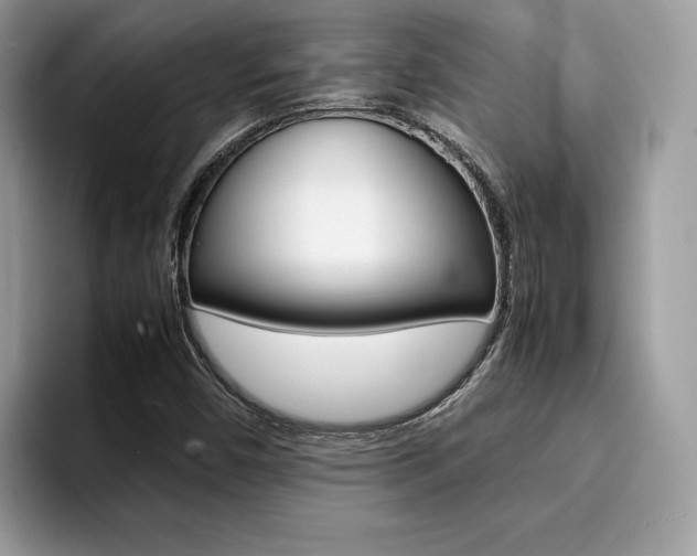 X0000094931450200711290951