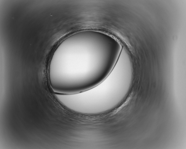 X0000094931453200711290951