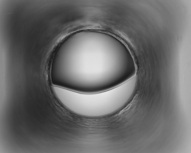 X0000094931455200711290951
