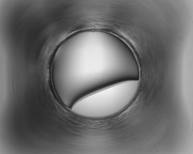 X0000094931459200711290951