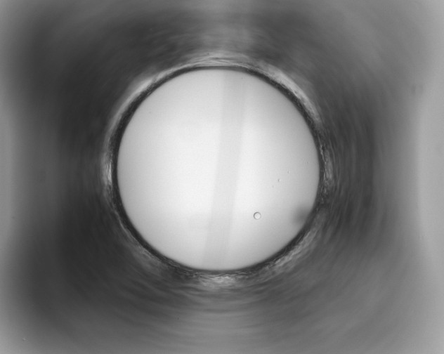 X0000094931462200711290951