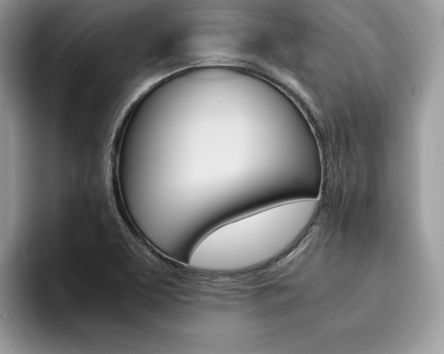 X0000094931463200711290951