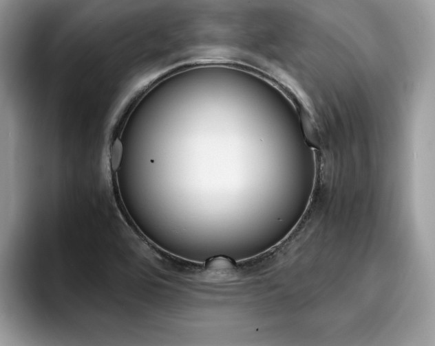 X0000094931464200711290951