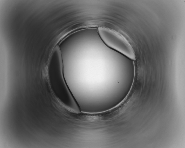 X0000094931465200711290951