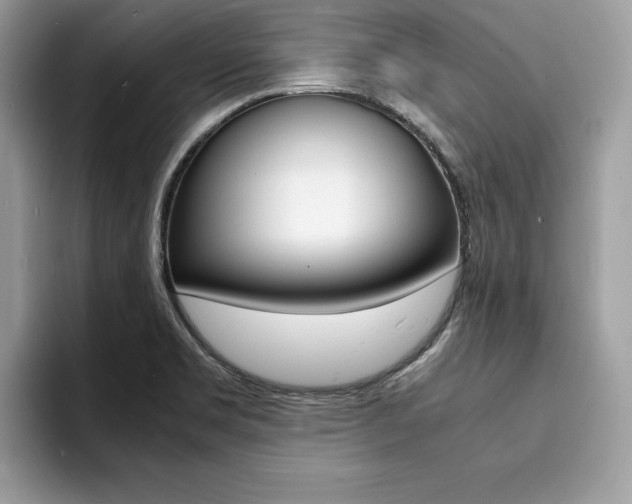X0000094931469200711290951