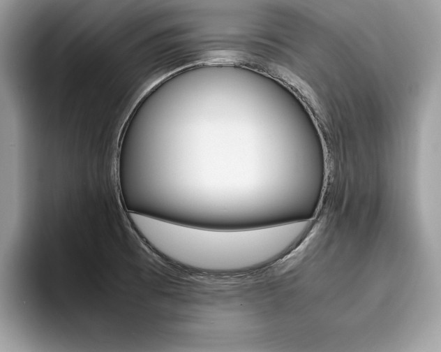 X0000094931473200711290951