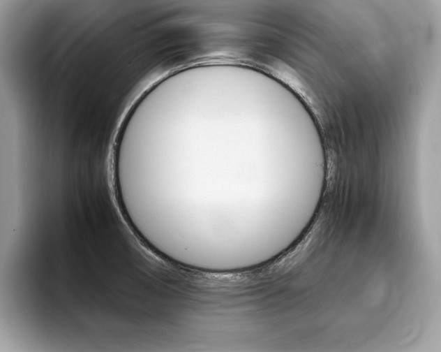 X0000094931474200711290951