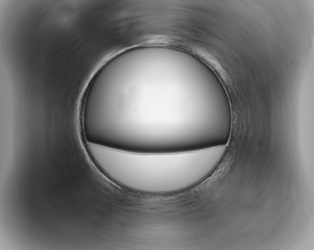 X0000094931475200711290951