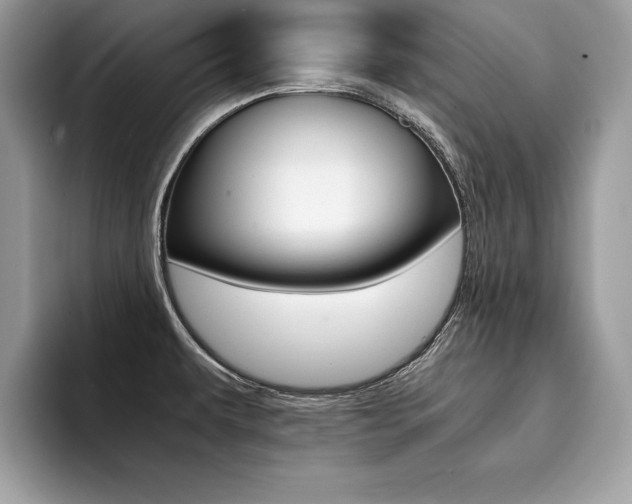 X0000094931479200711290951