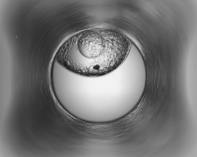 X0000094931483200711290951