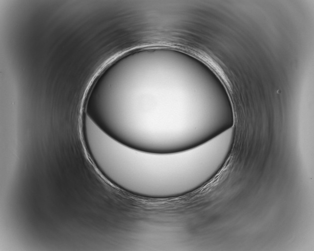 X0000094931485200711290951
