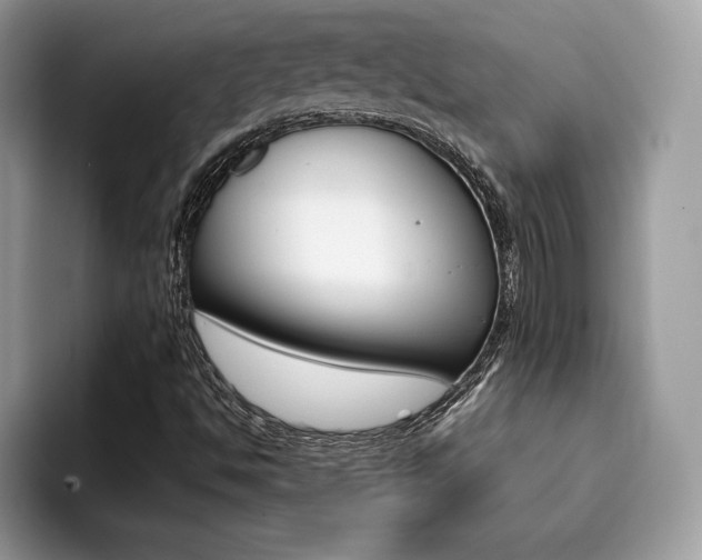 X0000094931494200711290950