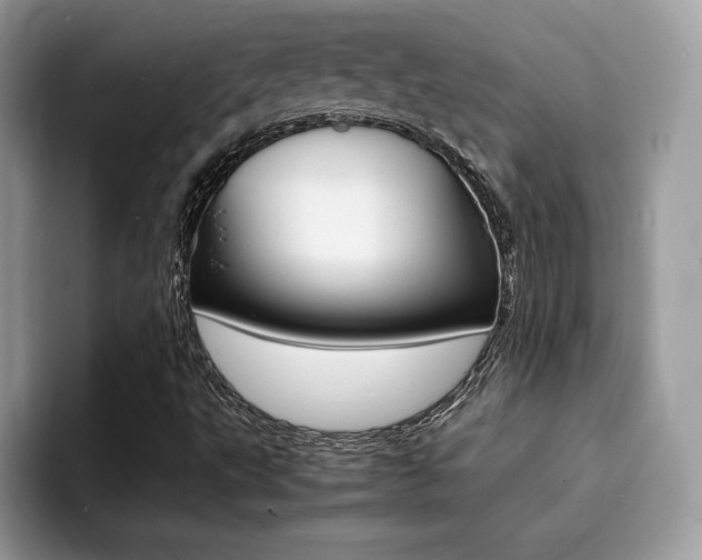 X0000094931495200711290950