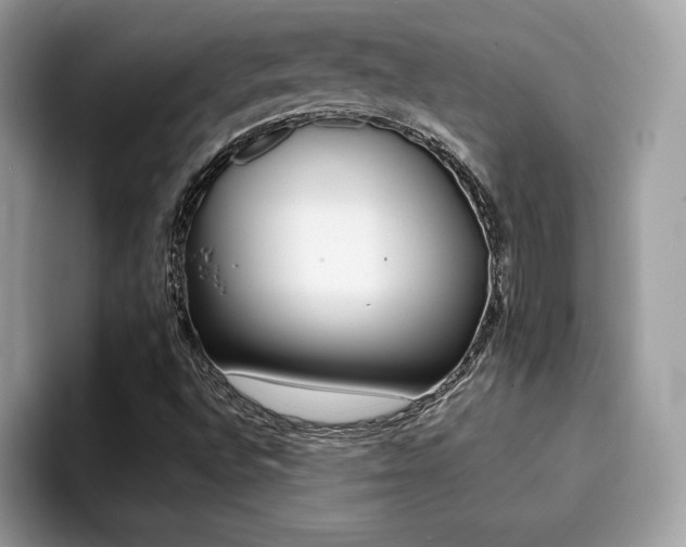 X0000094931496200711290950