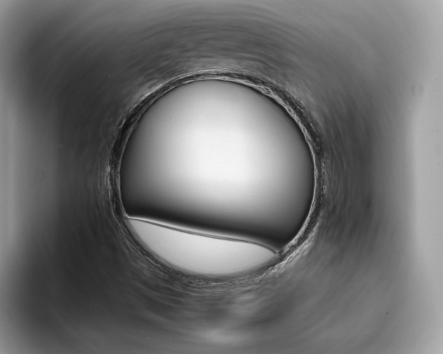 X0000094931497200711290950