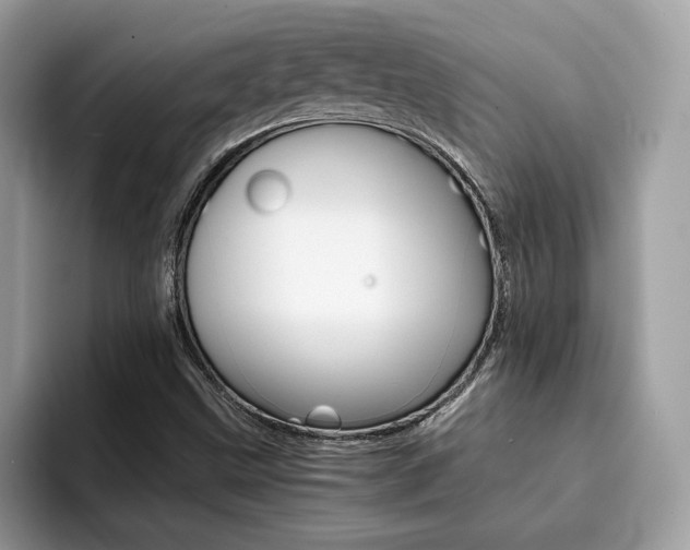 X0000094931499200711290950