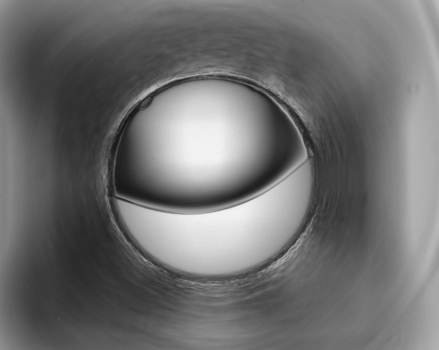 X0000094931500200711290950