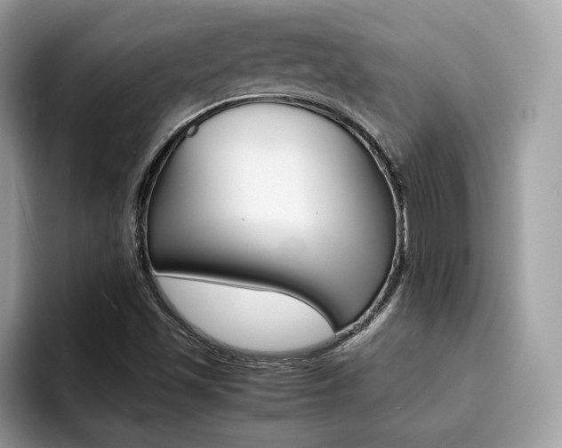 X0000094931501200711290950