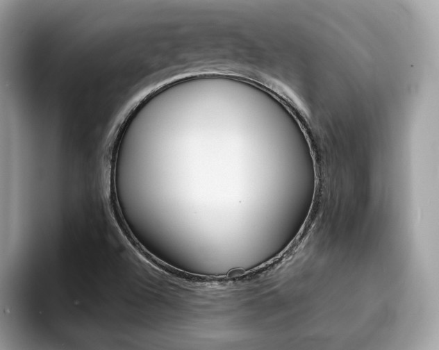 X0000094931504200711290950
