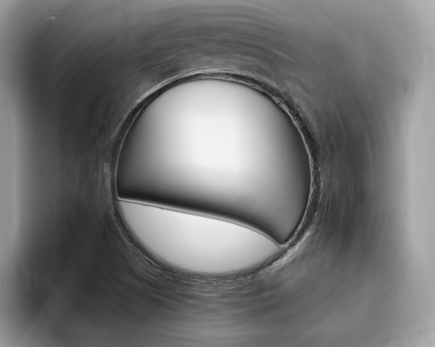 X0000094931505200711290950