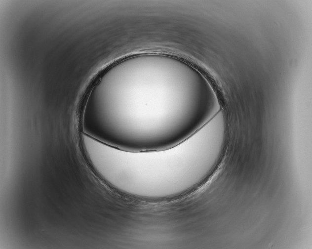 X0000094931506200711290950