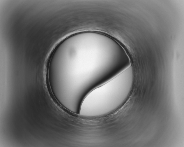X0000094931508200711290950
