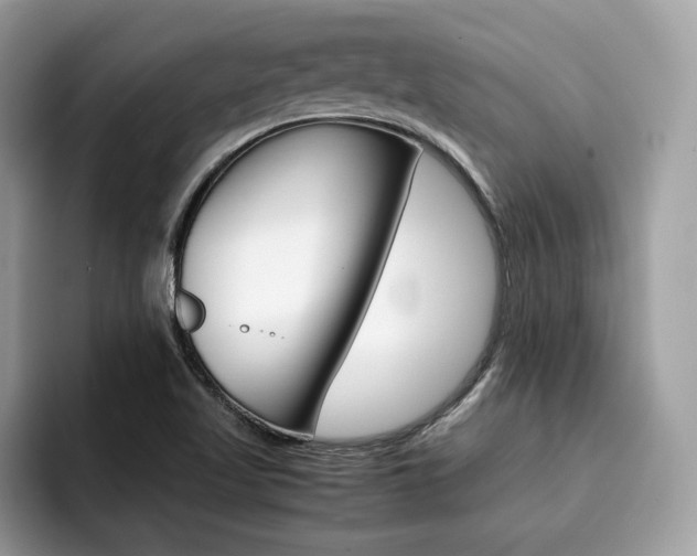 X0000094931509200711290950
