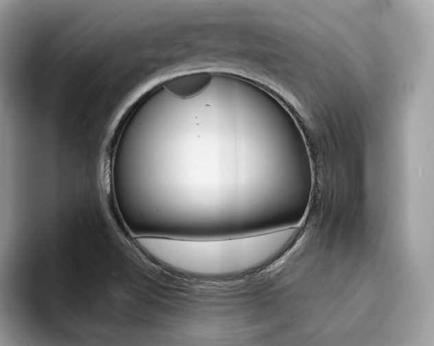 X0000094931510200711290950