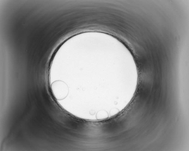 X0000094931514200711290951