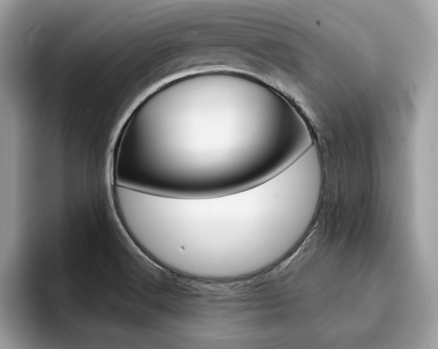 X0000094931516200711290951