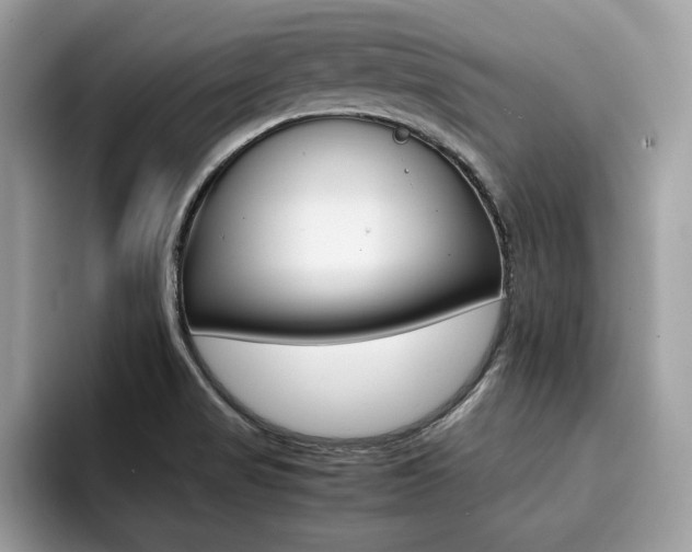 X0000094931517200711290951