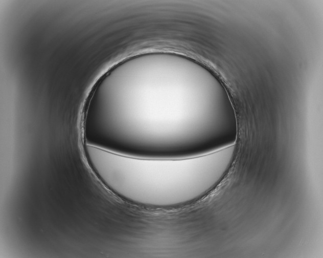X0000094931522200711290951