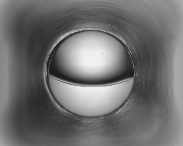 X0000094931523200711290951