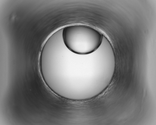 X0000094931524200711290951