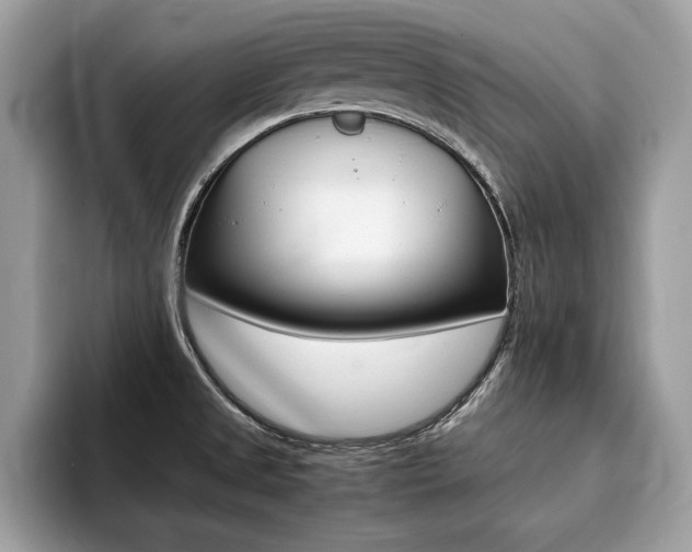 X0000094931525200711290951