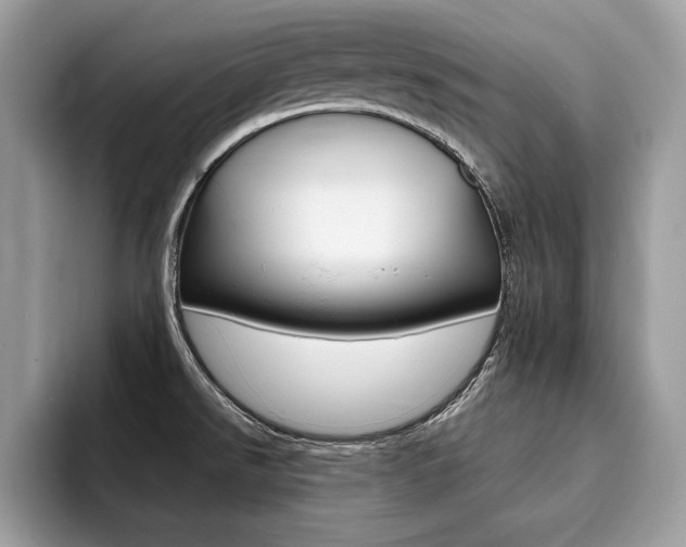 X0000094931526200711290951