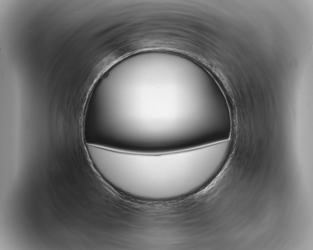 X0000094931529200711290951